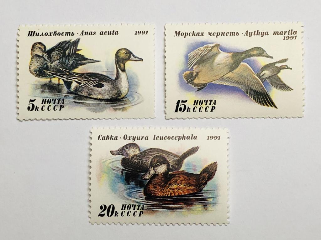 Птицы. Утки. Полная серия. Фауна. СССР. 1991. Mi: SU 6210-6212. Чистые