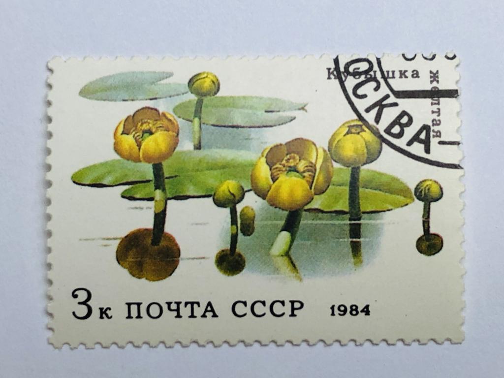 Цветы. Водные цветы. Кубышка жёлтая. 3 коп. Флора. СССР. 1984. Mi: SU ...