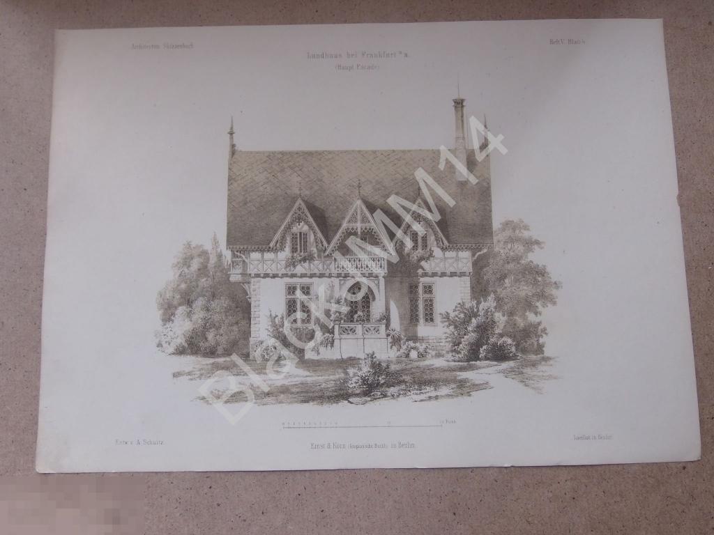 1867 г. Литография Архитектура Франкфурт-на-Майне Загородный дом Резьба 
