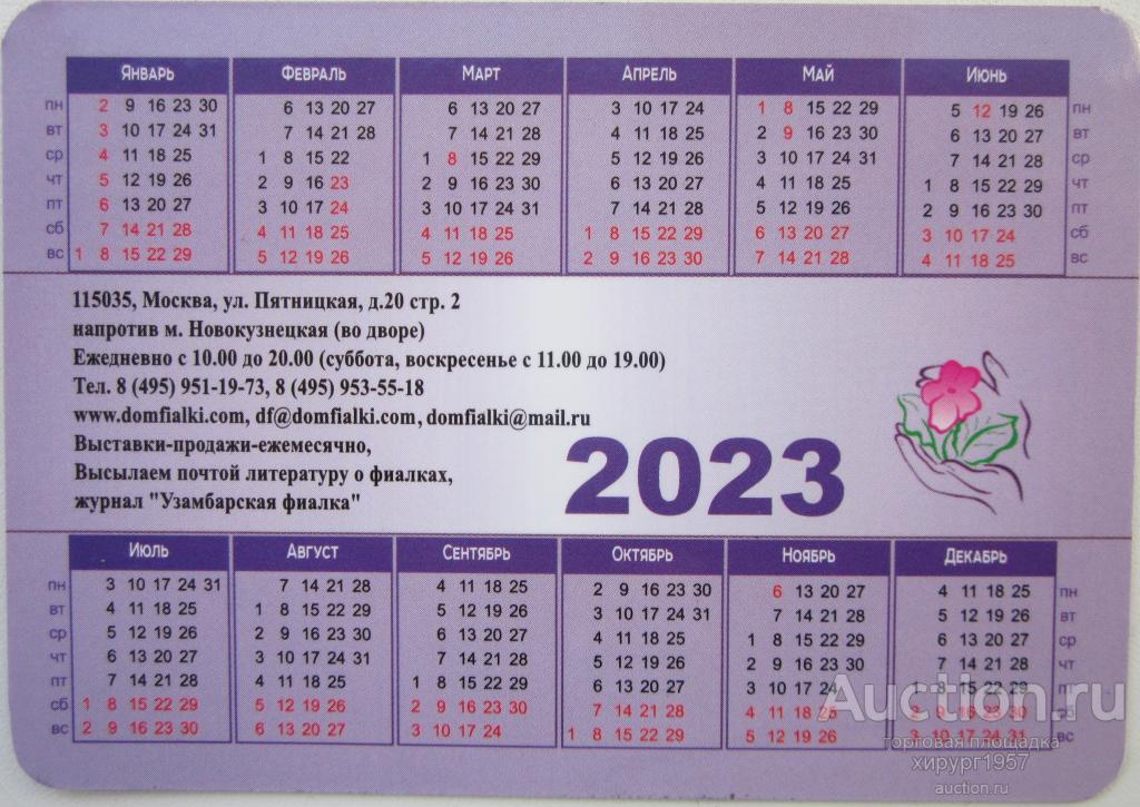 Россия 2023 - дом фиалки