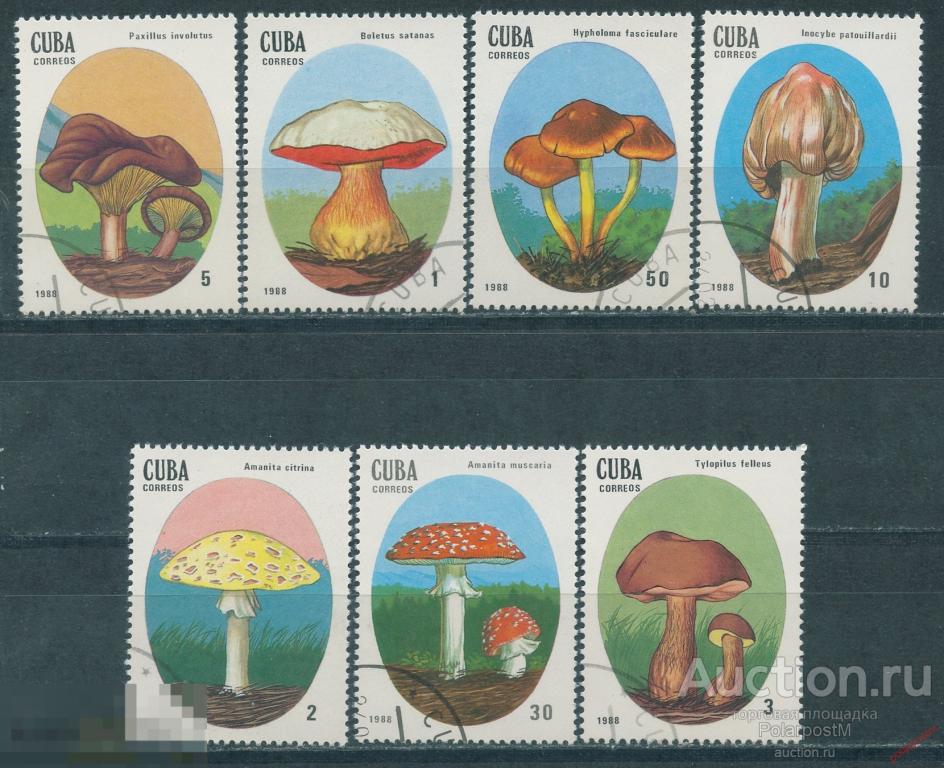КУБА 1988 3156-3162 Флора. Ядовитые грибы 