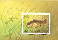 Киргизия (Кыргызстан) 1994 год. Фауна. Рыбы блок** Mnh 