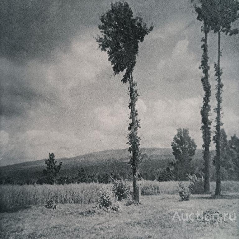 "Пейзаж" меццо-тинто Olga von Koncz / Bruckmann 1910-е годы