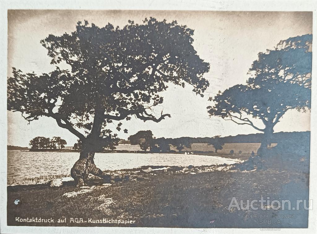 "Пейзаж" фотография H. Vollmer 1900-е годы