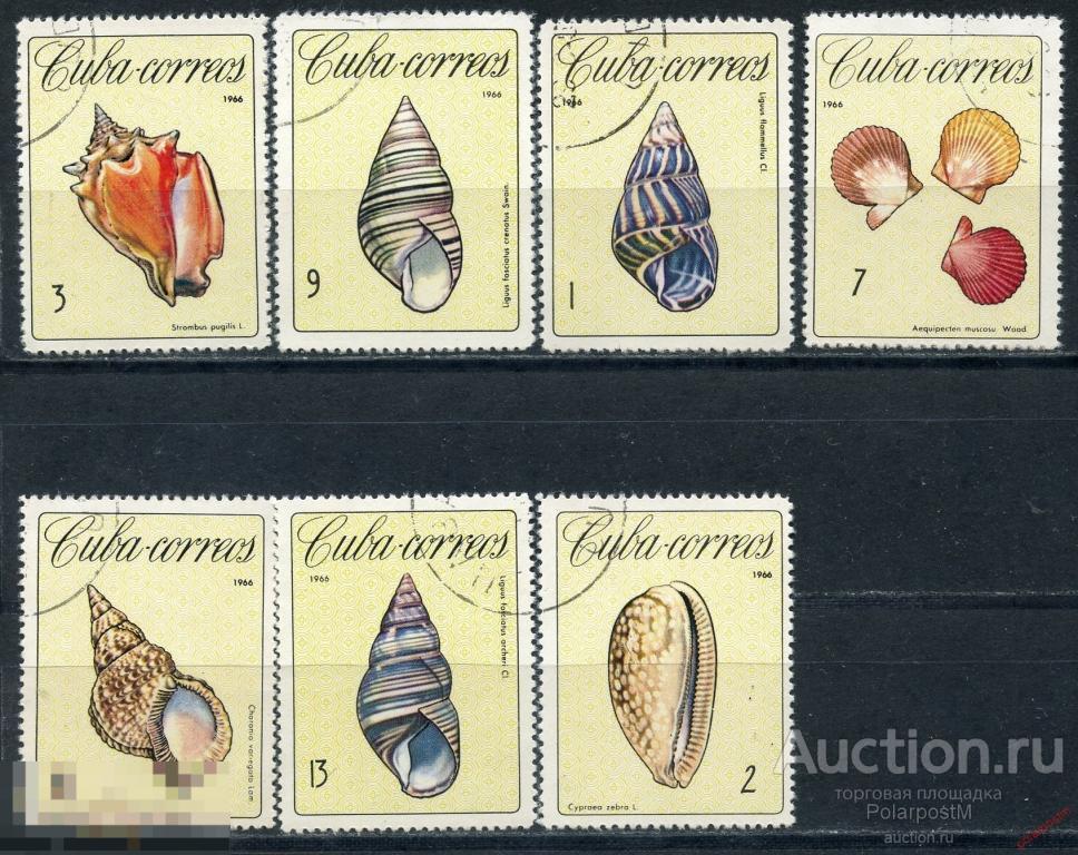 КУБА 1966 1194-1200 Тропические моллюски. Раковины. Морская фауна 