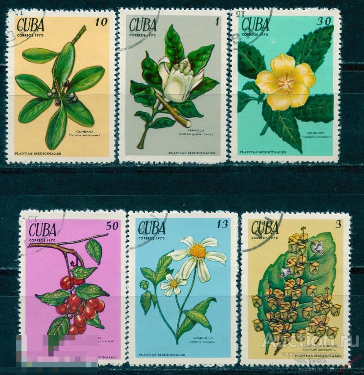 КУБА 1970 1562-1567 Лекарственные растения. Флора. Медицина 