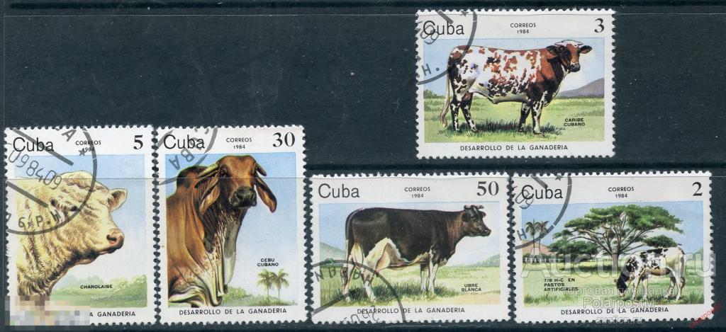 КУБА 1984 2880-2884 крупный рогатый скот. Фауна. Сельское хозяйство 