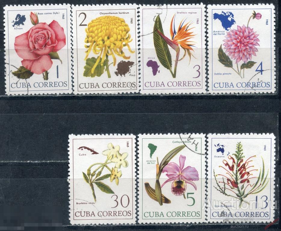 КУБА 1965 1035-1041 Цветы мира. Растения. Флора 