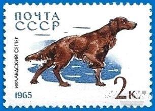 1965 СССР 3163 (Z 3074) Собаки. Ирландский сеттер** MNHOG (ЧБН)