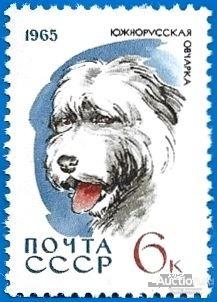 1965 СССР 3167 (Z 3078) Собаки. Южнорусская овчарка** MNHOG (ЧБН)