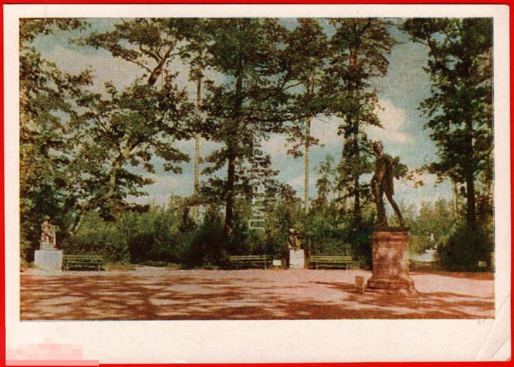 115818 Павловск парк двенадцать дорожек скульптура мужчина обнажённый чистая 1955 