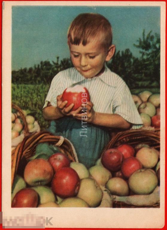 115965 Вот так яблоко мальчик малыш ребёнок дети фото Козловского чистая 1958 