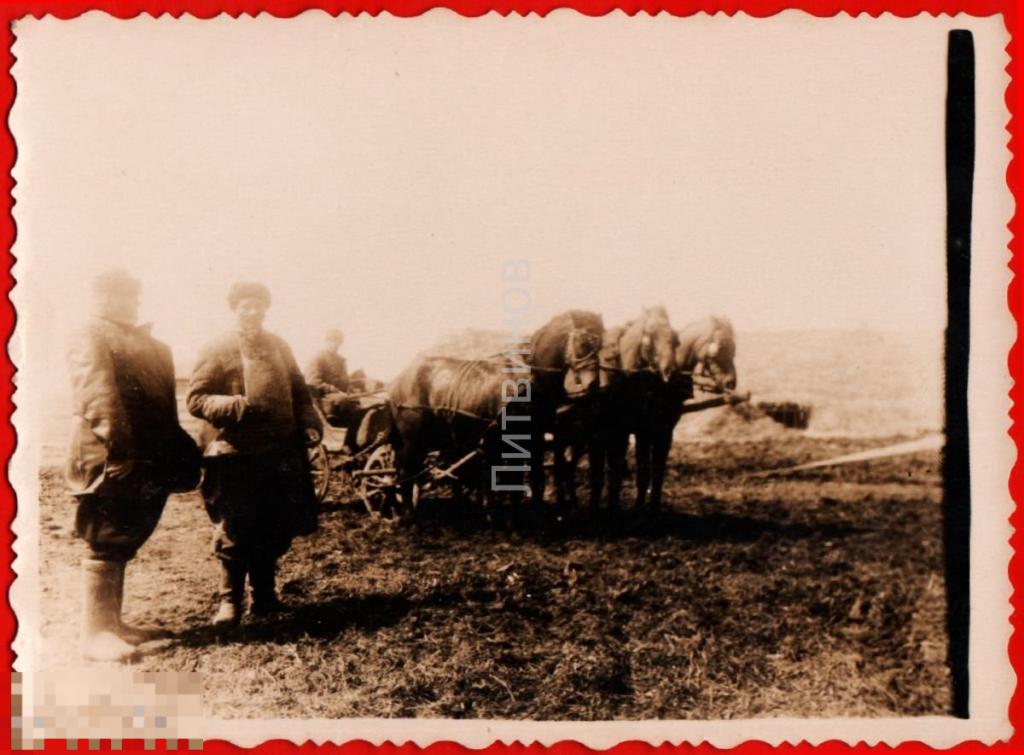 105187 Колхоз совхоз колхозник валенки крестьянин повозка Тройка лошадей фотография 