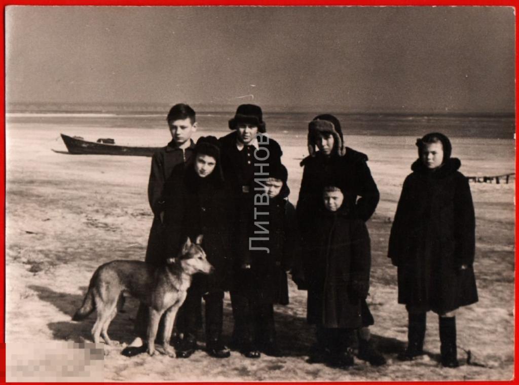 105361 Мальчик девочка дети собака Лайка берег моря лодка фотография 1959 