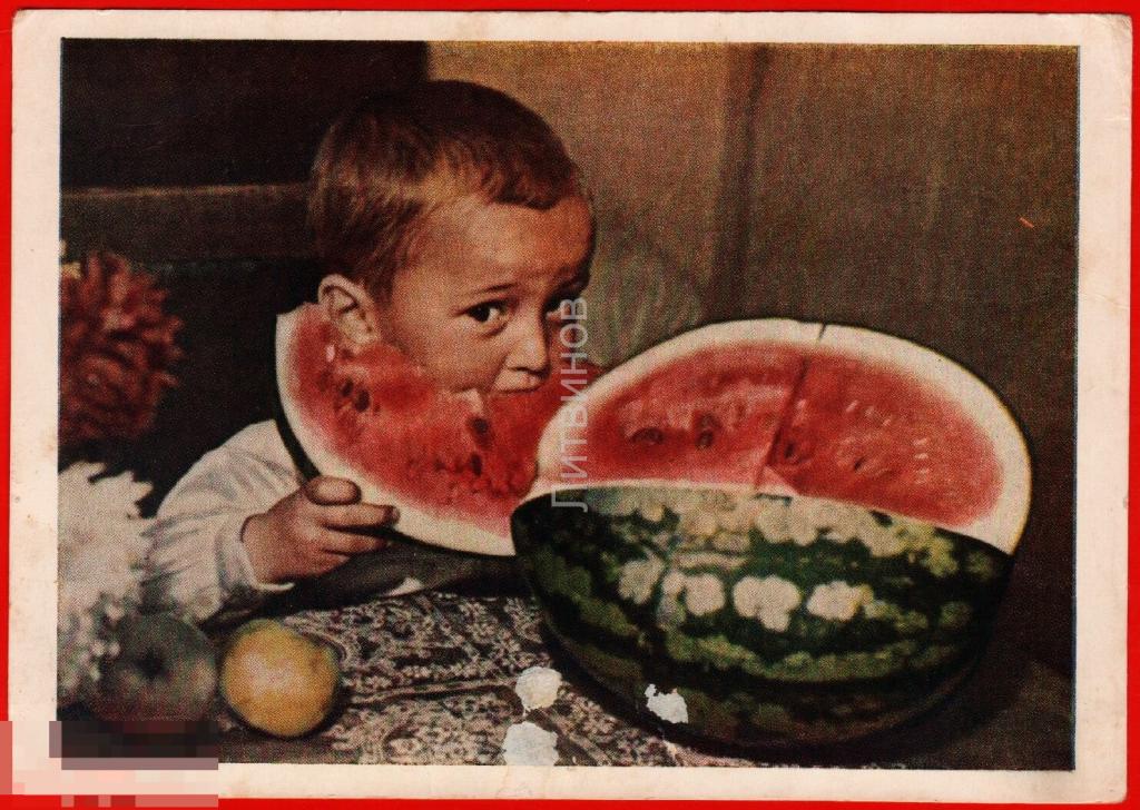 115369 Вкусно фото Мичурина Ефимов мальчик ребёнок дети малыш арбуз яблоки чистая 1954 