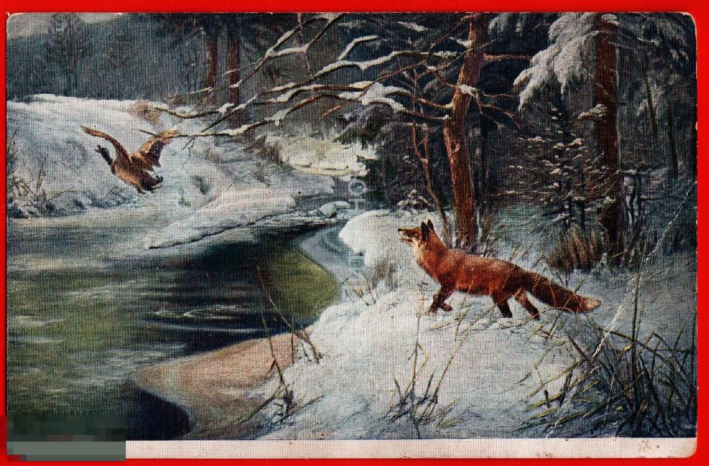 56276 Ускользнувшая добыча лиса лисица утка птица хищник зима лес снег 20-е 
