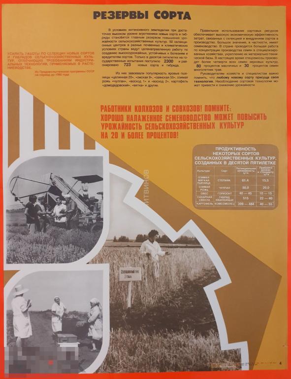 Советский агитационный плакат 1983 Труд селекционеров Посвящен селекции сортов сельскохозяйственных 