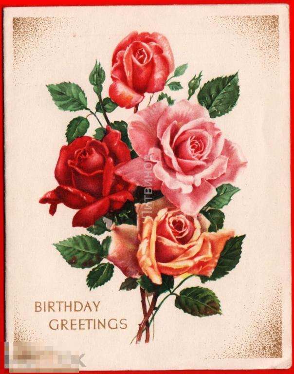 106532 Поздравления с днем рождения розы Германия иностранная 