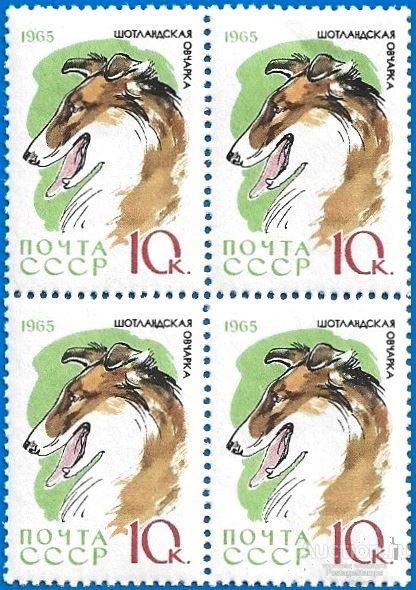 1965 СССР 3169 (Z 3080) Собаки. Шотландская овчарка. Колли** MNHOG (ЧБН)