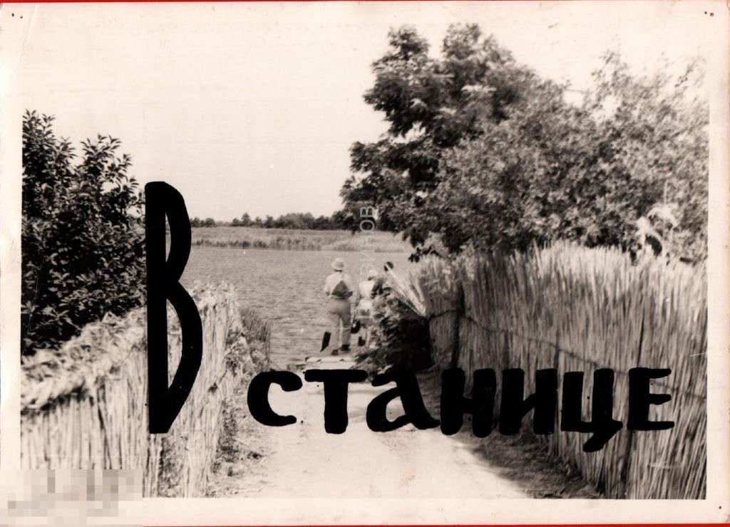 107419 Станица река речка камыш люди фотография 1970 