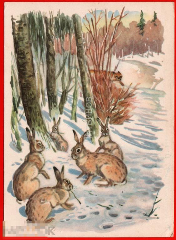 100776 Зайцы в лесу Фролов дикие животные лиса лисица живопись чистая 1959 