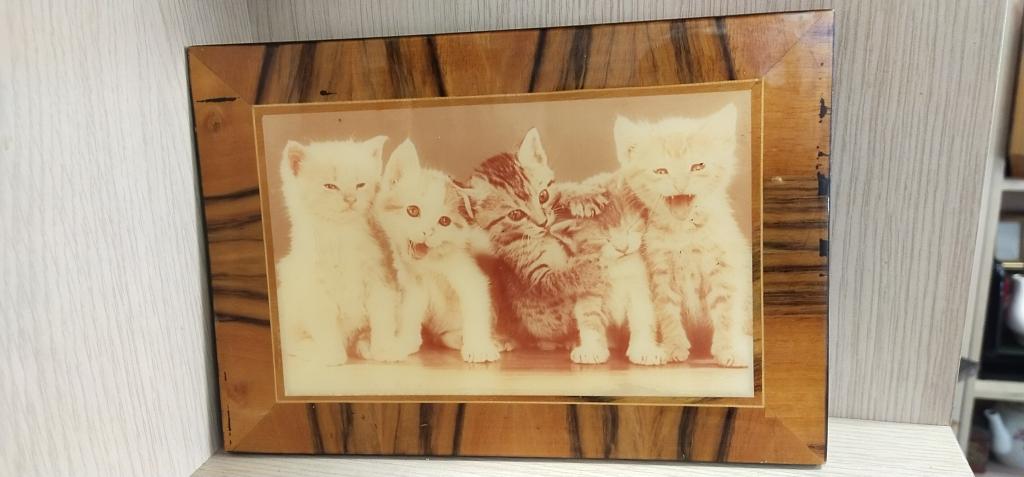 Пано " Коты ". СССР. Дерево. Шпон .