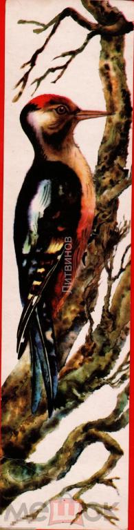 107053 Книжная закладка для книг птица дятел 