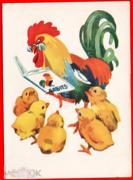 100272 Тыннисон азбука петух петушок цыплята букварь Школа чистая 1957 
