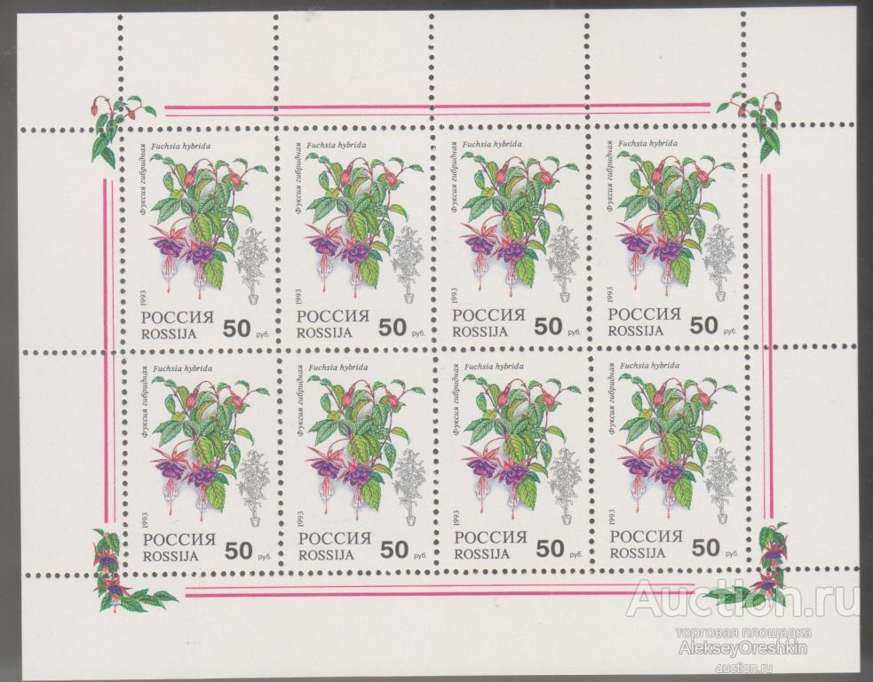 Комнатные цветы 2 малых листа