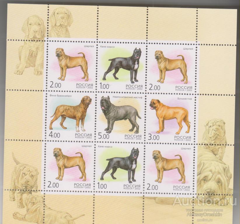 Собаки Малый лист