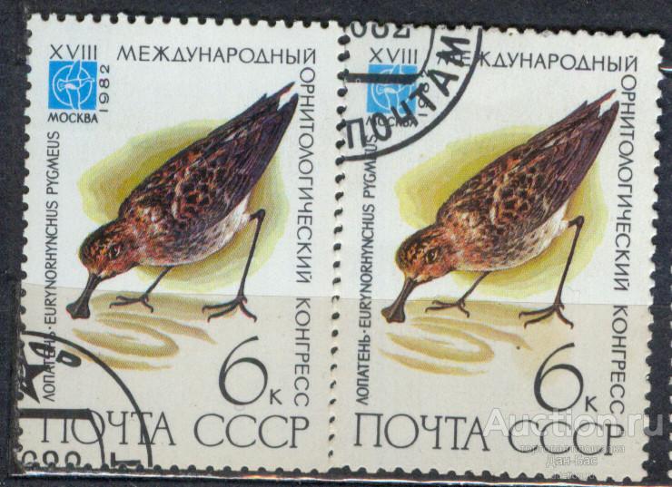 СССР 1982 СК 5233  ФАУНА ПТИЦЫ  ОТТЕНКИ БУМАГА