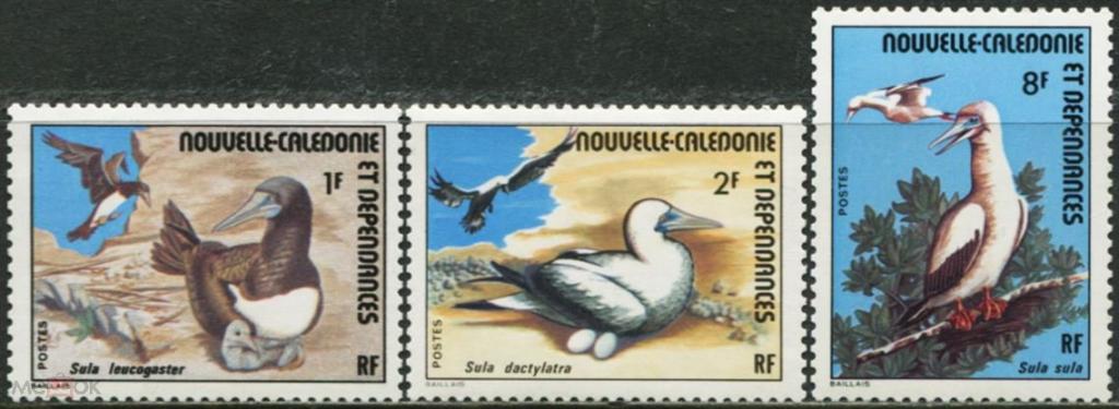 Новая Каледония,1976,Ми-573-5**Фауна: птицы