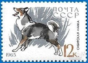 1965 СССР 3170 (Z 3081) Собаки. Сибирская лайка** MNHOG (ЧБН)