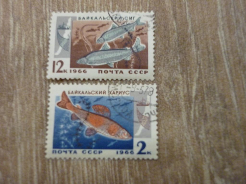 Марки СССР 1966 год. Байкальский Сиг, Байкальский Хариус.