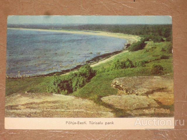 ЭСТОНСКАЯ ССР Северная Эстония Тюрисалуский пейзаж 1975 г. чистая природа озеро