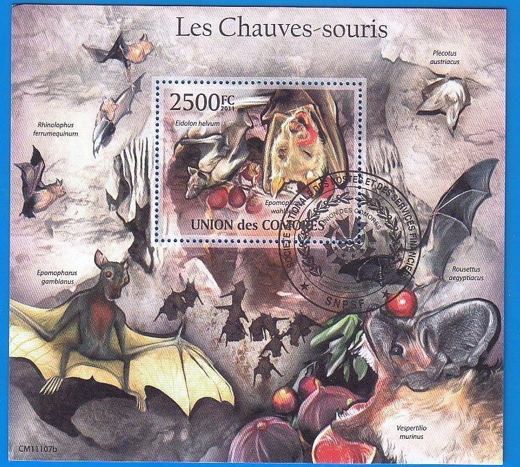 Коморы фауна летучие мыши