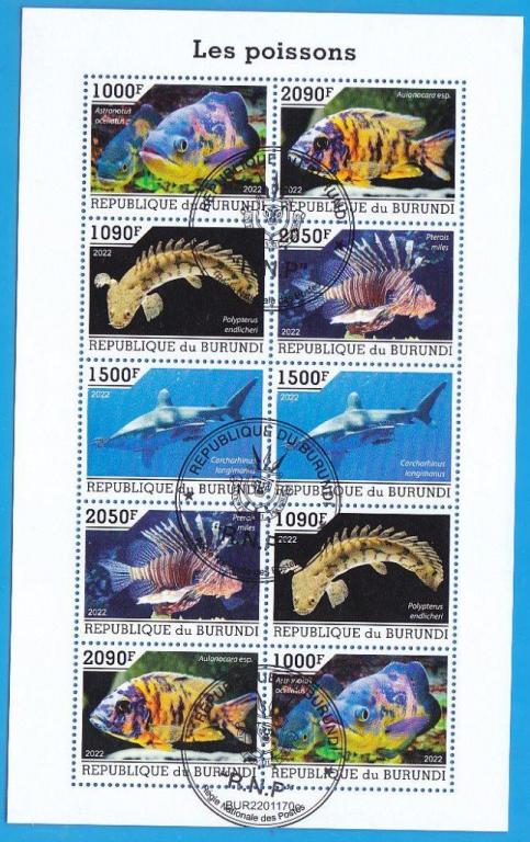 Бурунди   фауна рыбы