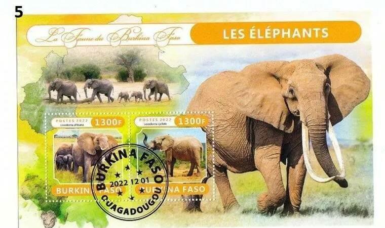 Буркина-Фасо (Верхняя Вольта) 2022 фауна