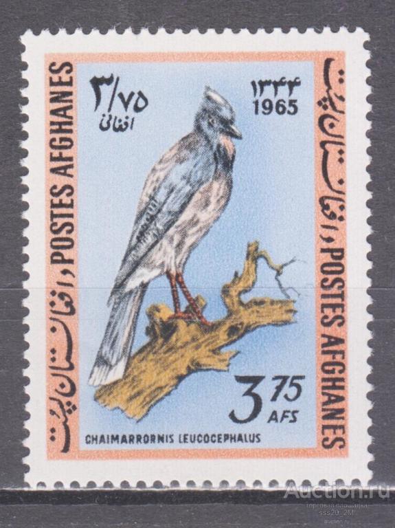 Афганистан 1965 чешуйчатый дятел Mi540 MNH
