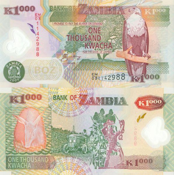 Замбия 1000 квача 2008-2009 полимер
