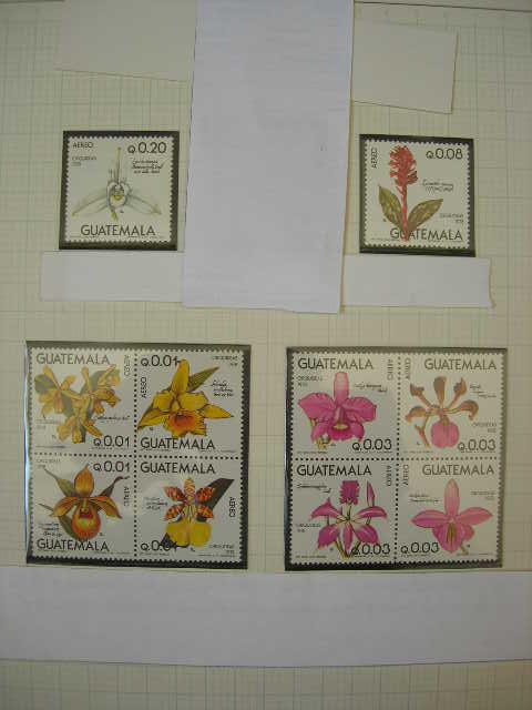 Гватемала 1978 флора: цветы (орхидеи)   MNH