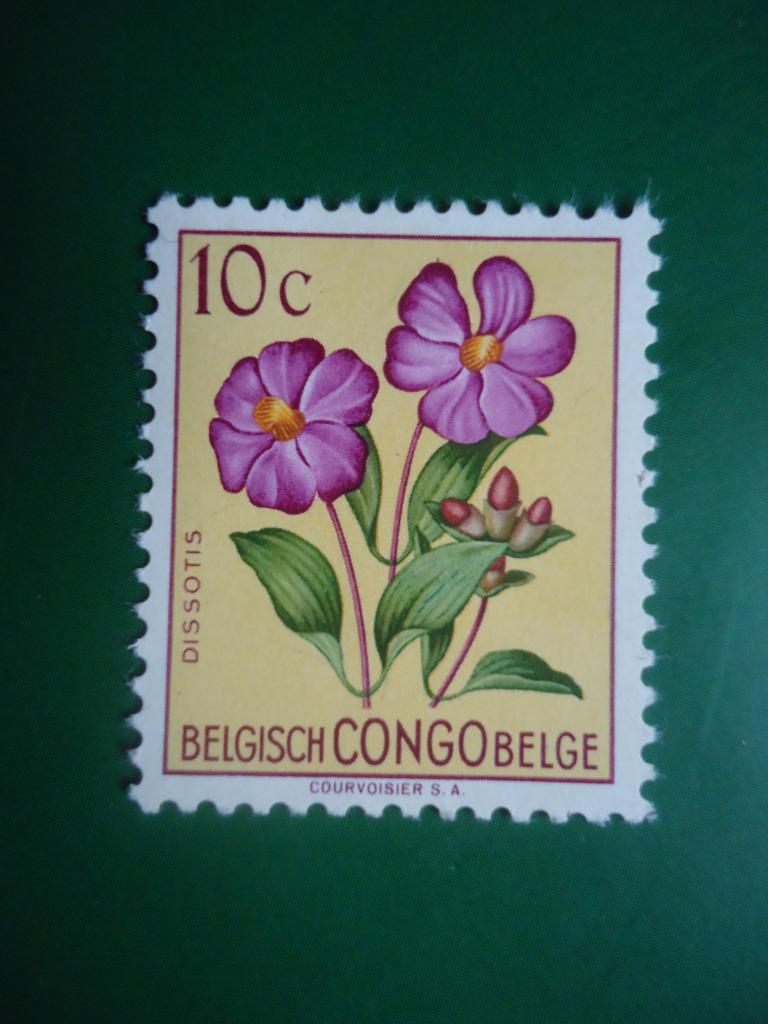 1952 г.  Бельгийское Конго   MNH.