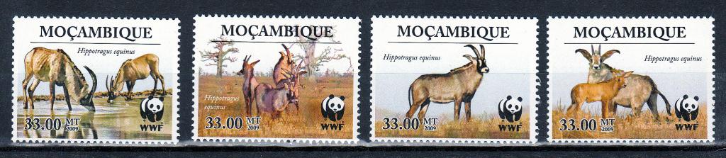 Марки Мозамбик 2009 г. Олени Серия 4 марки MNH ** Фауна Млекопитающие