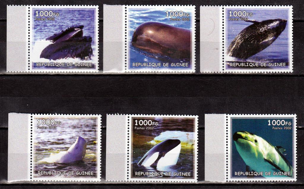 Марки Республика Гвинея 2002 г. Морская фауна Киты Серия 6 марок MNH **