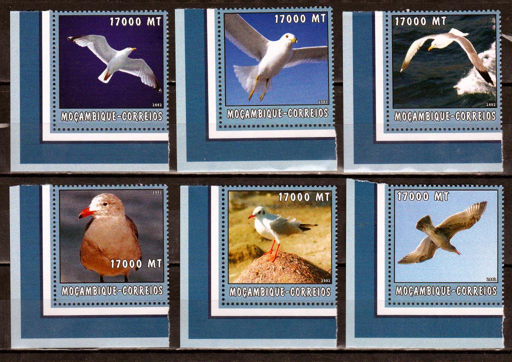 Марки Мозамбик 2002 г. Чайки Серия 6 марок MNH ** Фауна Птицы