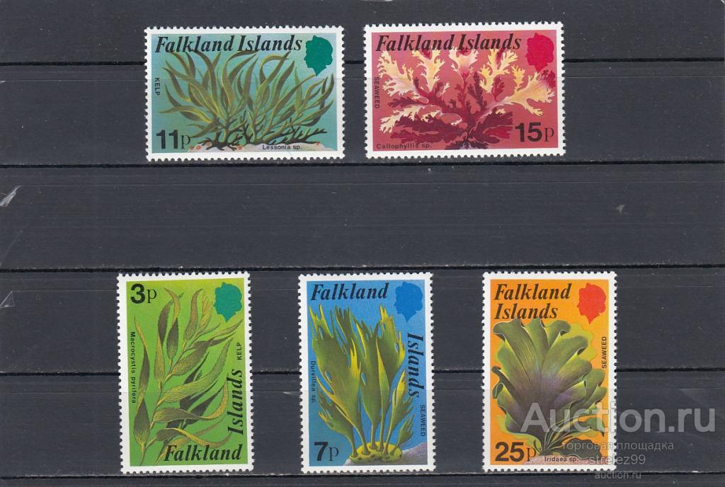 FALKLAND ISLANDS ФОЛКЛЕНДЫ  Водоросли Флора Серия  1979 Сост**  MNH