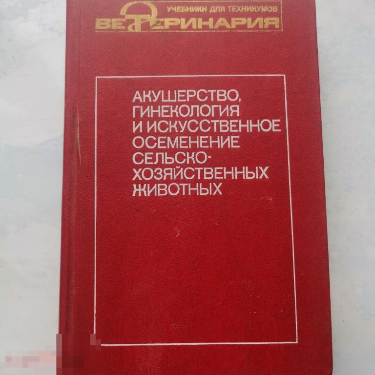 акушерство животных