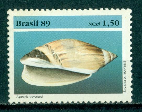 Марки.  Бразилия.  1989.  РАЗНОБОЙ.  Ракушки.  Раковины.  Животные.  Фауна.  Серия.