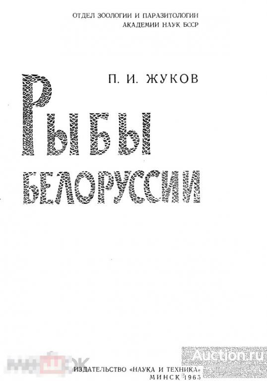 Рыбы Белоруссии / 1965 / книга в формате PDF 