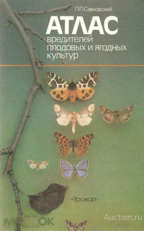 Атлас вредителей плодовых и ягодных культур 1990 книга в формате PDF 